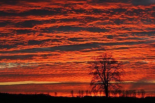 Himmel in Flammen