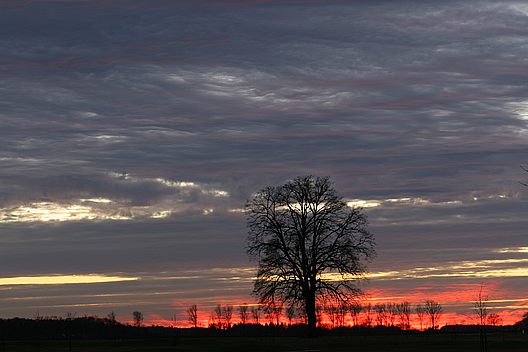 Grauroter Abendhimmel