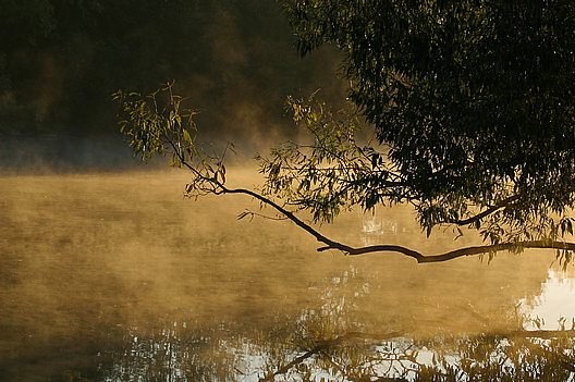 Ein Morgen am Wasser