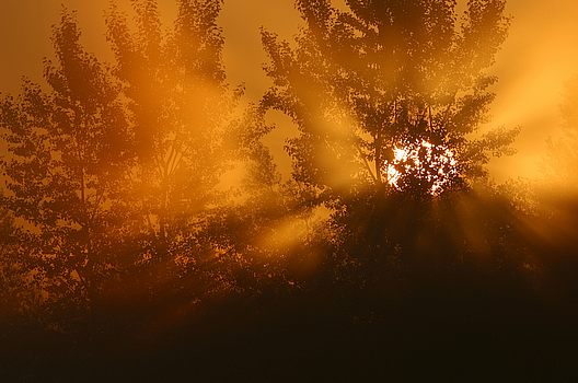 Sonne im Nebel