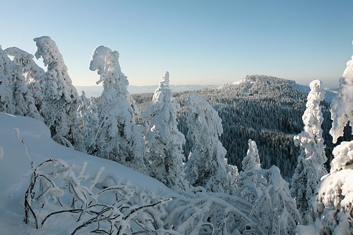 Der Kleine Arber im Winter