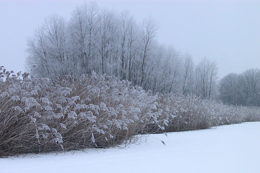 Winter am Inn