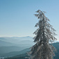 Bayerischer Wald