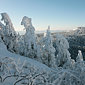 Der Kleine Arber im Winter