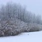Winter am Inn