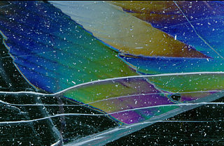 Polfilter