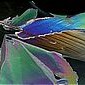 Polfilter-Galerie